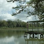 ΦΕΣΤΙΒΑΛ ΚΙΝΗΜΑΤΟΓΡΑΦΟΥ ΘΕΣΣΑΛΟΝΙΚΗΣ 2013-ΠΡΟΤΑΣΕΙΣ ΚΥΡΙΑΚΗ